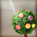 A macaroon tree under a ray of light.