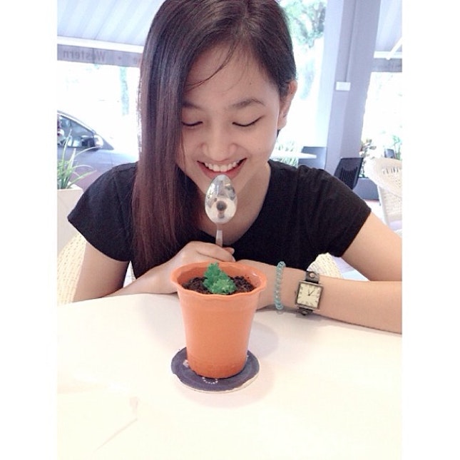 Flower pot 🌸 Dessert on the day 😋 #echinchye #dessert