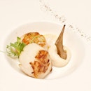 [The Study -work hard eat well 3/3]
Ending the night with a scallop dish bcos that's one of her fav seafood.