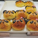 Check out these ADORABLE Jia Jia and Kai Kai panda buns!