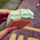Choco-mint ice-cream sandwich from old school ice-cream truck and a leisurely walk home from the market.