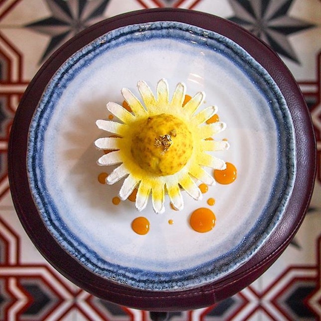 Hope your day is as bright as this gorgeous "Sunny" sunflower plated dessert 🌻 the coconut biscuit base and almond sponge body held so many things within and on top: Chamomile Honey Parfait, Ginger Lime Foam, Pure Peppermint Tea Infused Peach, Lemongrass Apricot Coulis, and Chamomile Espuma.