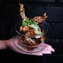 A participating restaurant of the Singapore Restaurant Festival, MUSEO, is serving a locally-inspired dish of Soft Shell Chilli Crab ($14) during the period.