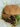 Mix Mushroom Burger $9.90 (comes With Fries & Ketchup)