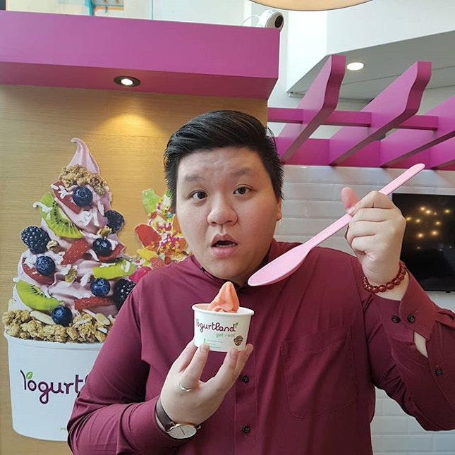 @yogurtlandsingapore
*
DIY yogurt
~
(Pymt based on weight)
~
Small w/ 1 topping ~ $4.0
Medium w/ 2 toppings ~ $5.0
Large w/ 3 toppings ~ $6.0
*
They have 8 flavours daily at their Suntec City outlet, & still researching on new flavours!