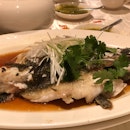 Steam Live Marble Goby In Superior Soy Sauce