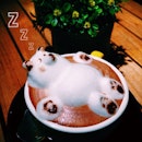 Coffee Stain by Joseph (Parkamaya Fahrenheit)