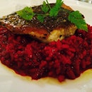 Sea bass With Beetroot Risotto 