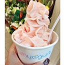 [Fruit Blended Yogurt: Lychee Rocks - lychee, watermelon, vanilla yogurt Large S$5.50]