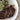 Tasty Ribeye Steak - SGD26