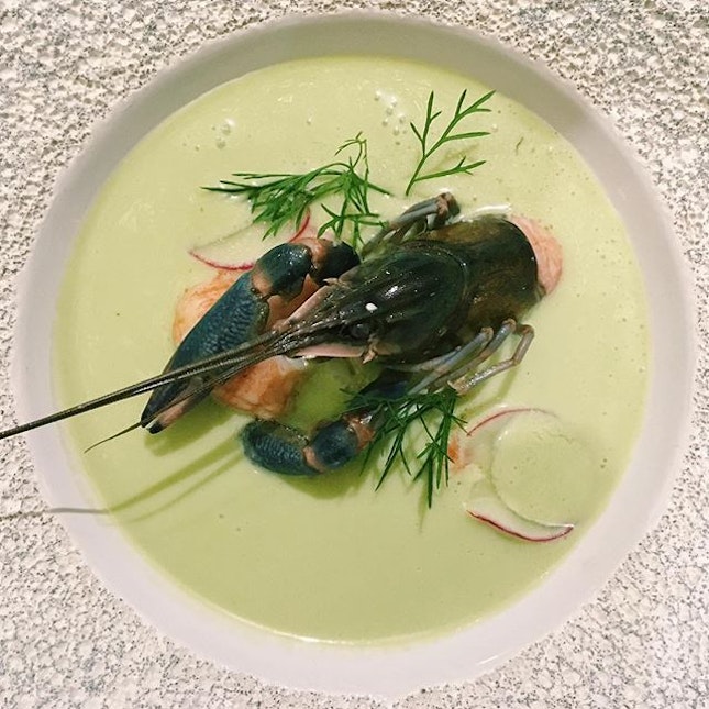 Chilled avocado, ginger soup, 
poached yabbies & fresh radish from Open Farm Community.