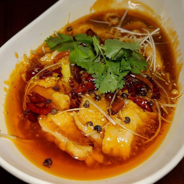 The Early Fatback: Boiled Fish in Chilli Oil from Szechuan Court (@szc.sg), Fairmont Singapore (@fairmontsingapore).