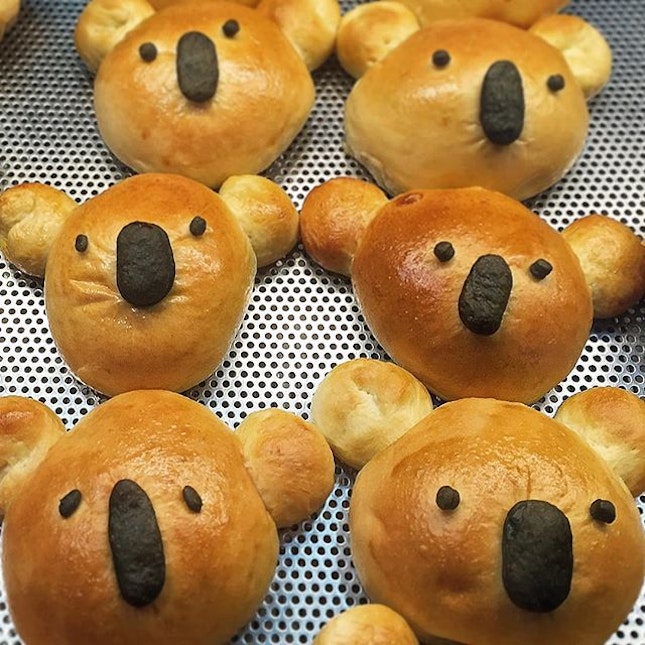 Saw these cute Koala Bear 🐨 Pie (SG$4.50) with chicken fillings at a pizza kiosk outside the Singapore Zoo entrance.