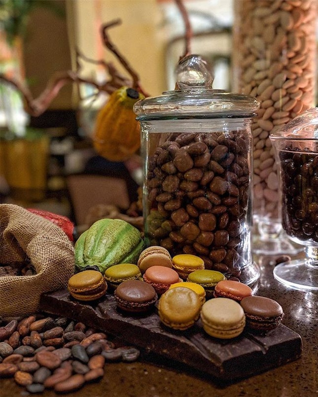 AND ITS BACKKKKKKK~ The Courtyard’s Chocolate Buffet is bigger and better than before!