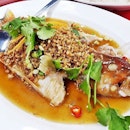 Cai Poh Steamed Red Grouper (SGD $Seasonal Price ~$33) @ Jin Hock Seafood Restaurant.