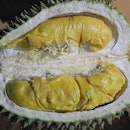 [Combat Durian]
.