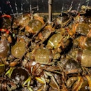 Live Crabs - To Be Hibernated