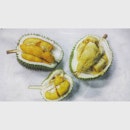 Shades of Yellow Shiokness 
HongXia + XO + MaoShanWang Durians
#fingerlickinggood #durian #maoshanwang #onthebtable #alinaeats #shiokness #foodies #sgfoodies #burpple #foodgasm #foodphotography #igsg #vsco #vscocam #vscofood #먹스타그램 #singaporeinsiders #eatoutsg #foodbloggers #sgfood #tfjsg50