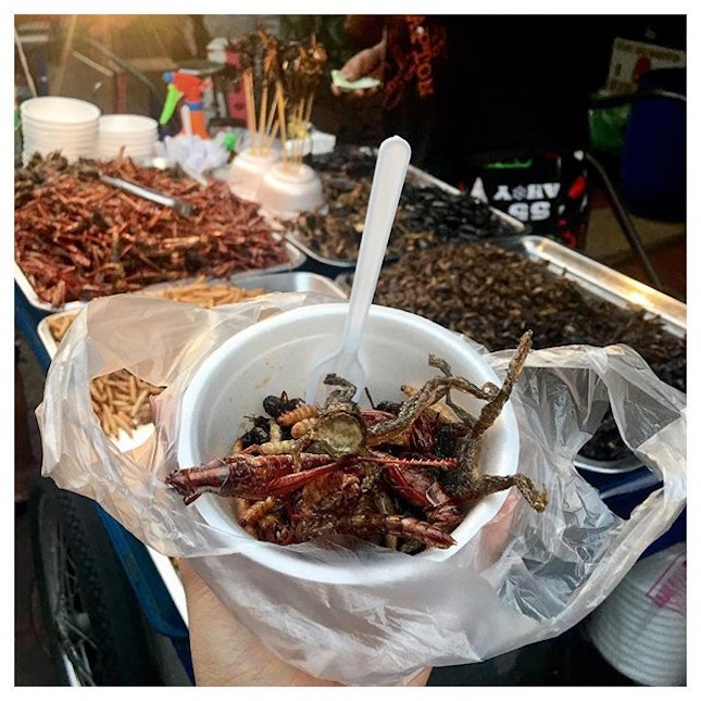 Exotic Street Foods [80 THB assorted] 🐜🦂🕷🐸
One of the reasons why I wanted to visit Thailand is because of these!!!