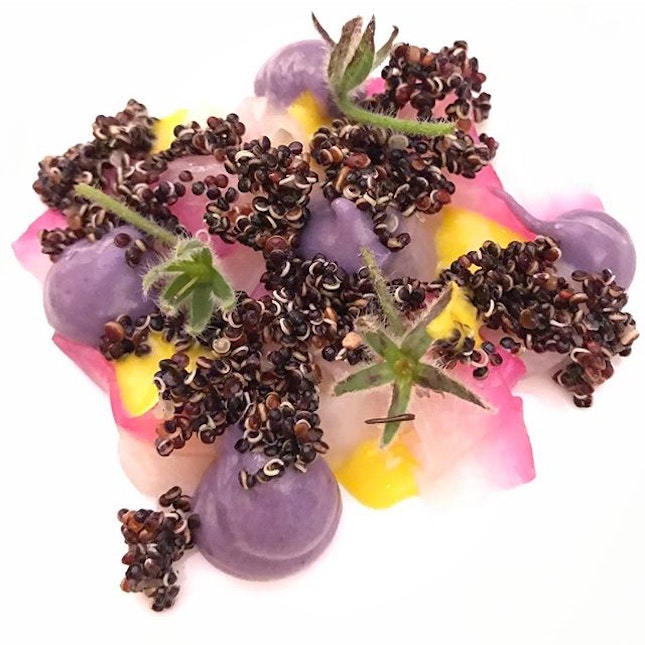 River fish | Quinoa | purple potato - Prettiest dish last night!