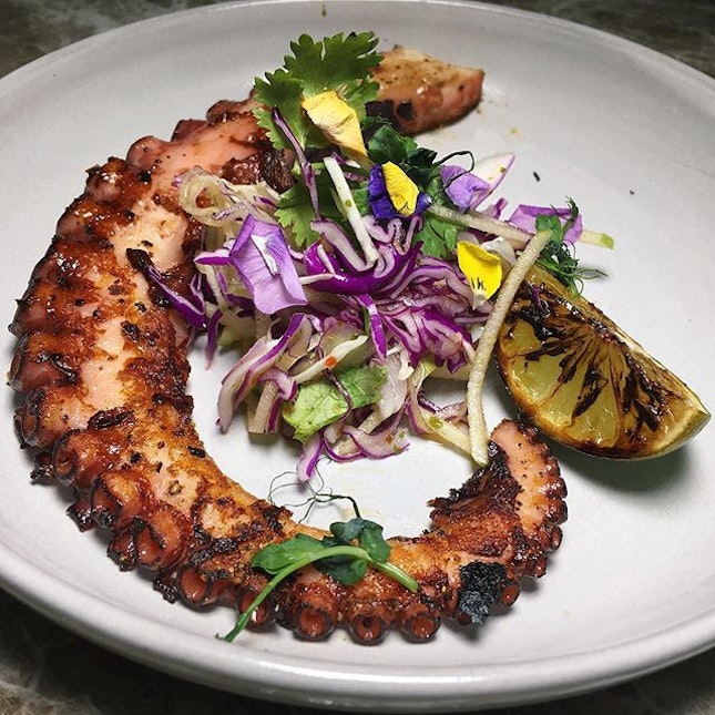 Spanish Octopus (pan-seared octopus, lemongrass, apple spicy slaw) from Fynn's new dinner menu.