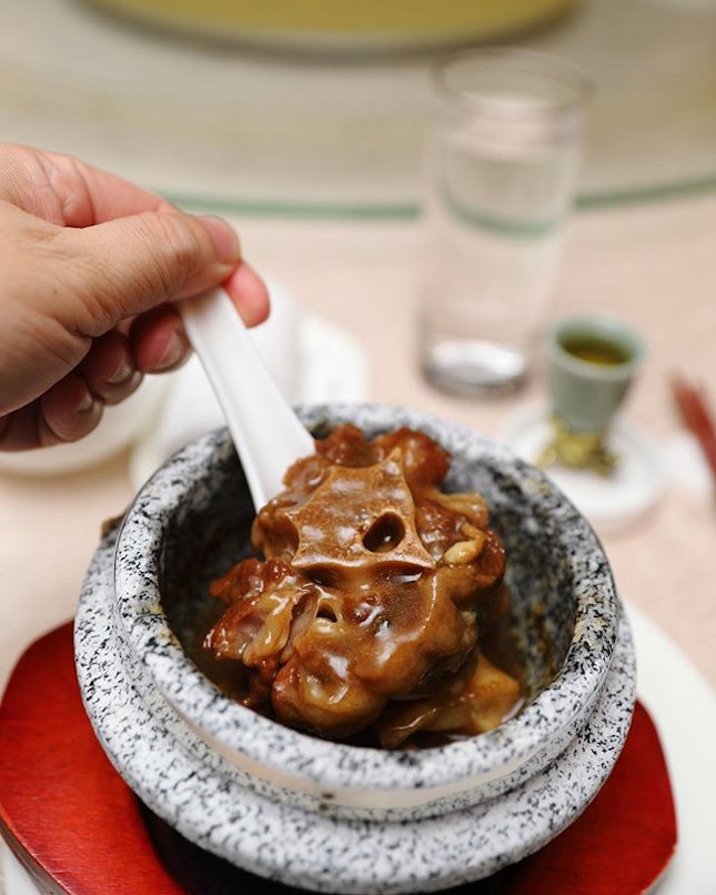 [Peach Blossoms] - A welcome change from the usual pen cai is the Stewed Japanese Wagyu Beef Oxtail with Pan-Fried Fish Maw and Dried Oyster.