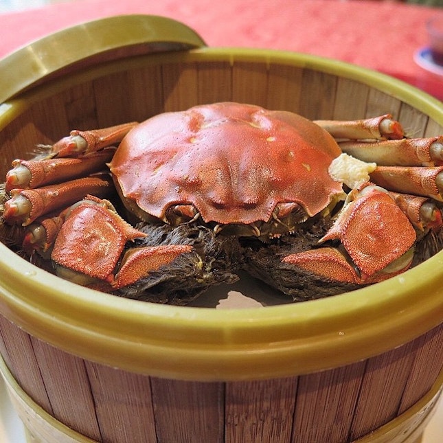 Yangcheng Hairy Crab