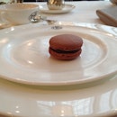 extravagance is two plates for one macaron ($2)