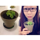 Recently no 💰💰 edi, so have to eat 🌿 to survive 😭😭 #throwbacks #eating #plant #?