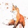 ethereal fox